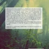 WALDEN